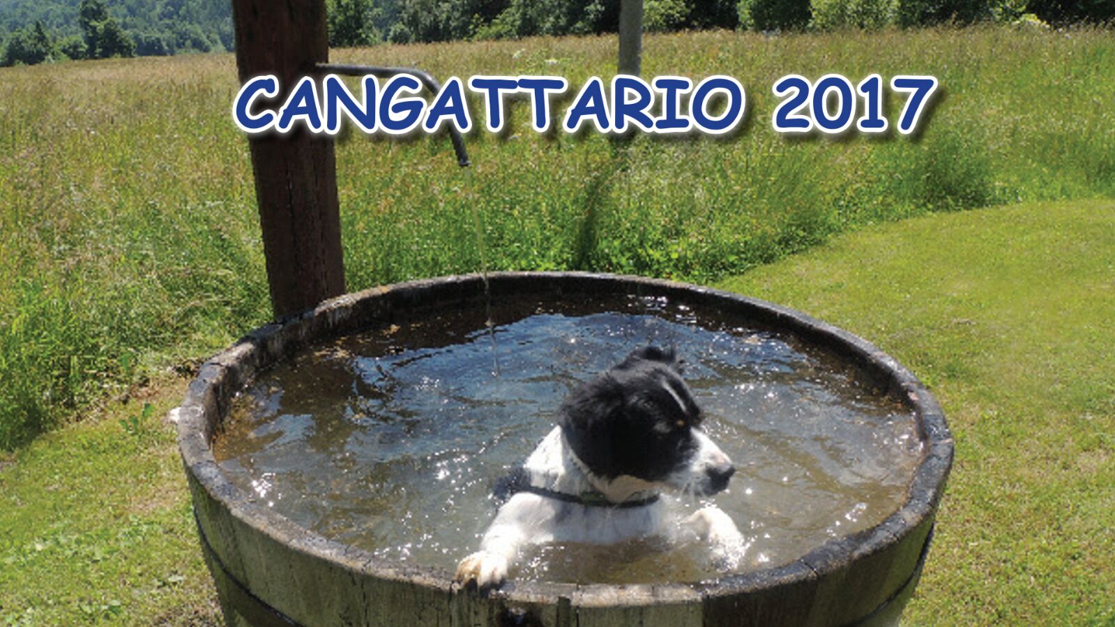 CANGATTARIO 2017